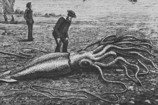 Kraken сайт krakens15 at