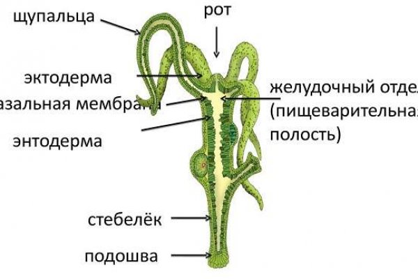 Как зарегаться в кракен