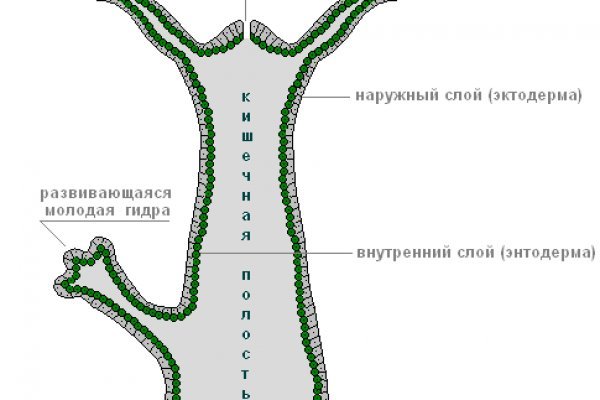 Кракен онион ссылки