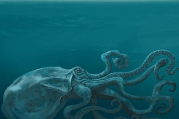 Кракен вход krakens13 at