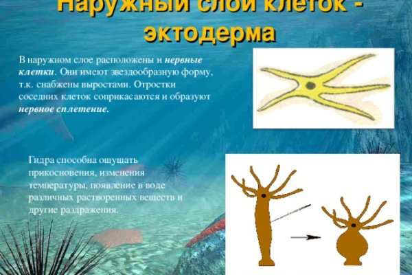 Кракен сайт ссылки актуальные